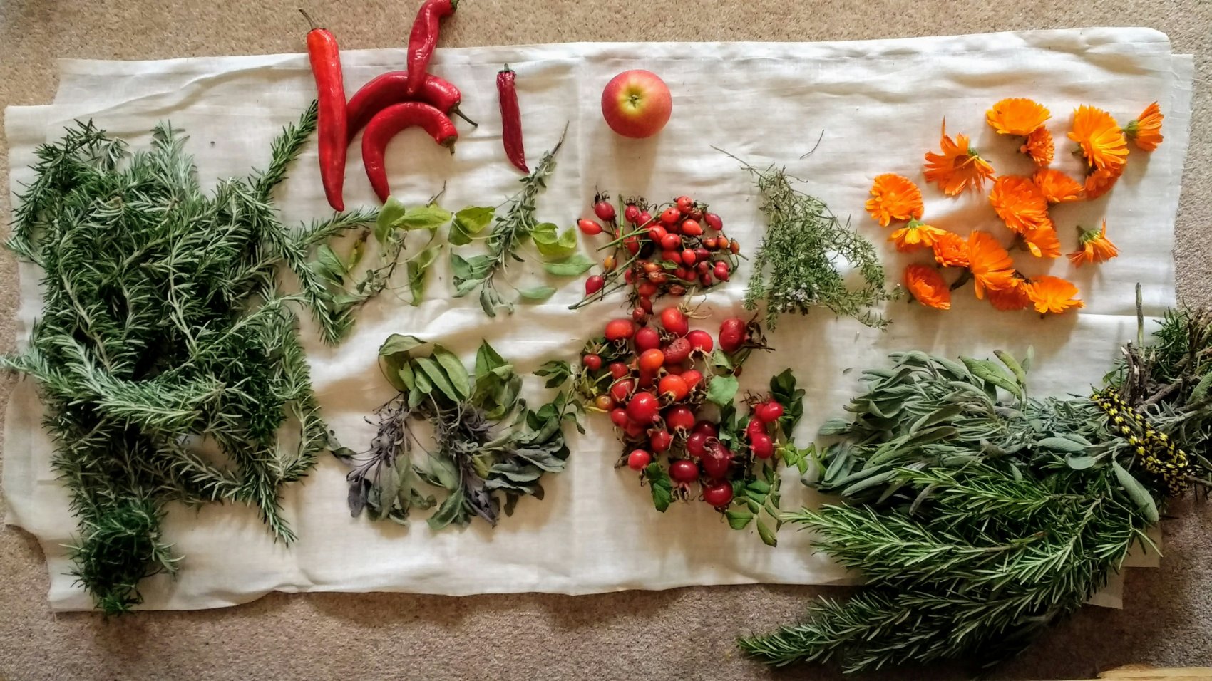 Faixa de mesa com ingredientes frescos